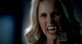 /album/fotogaleria/rebekahs-vampire-face-jpg1/